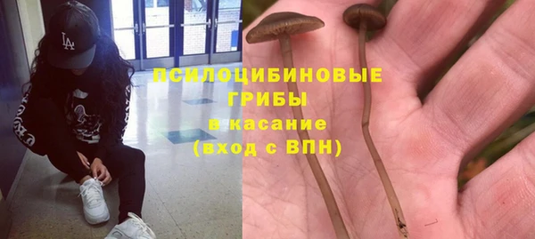 первитин Алексин
