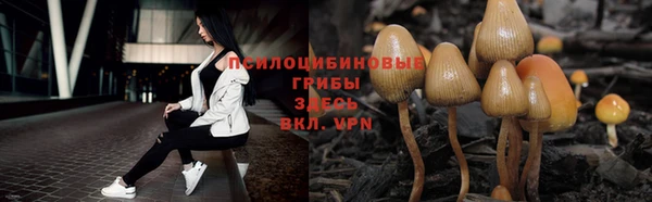 Альфа ПВП Армянск