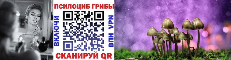 Галлюциногенные грибы Cubensis  Коркино 